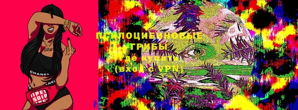 дурь Абинск
